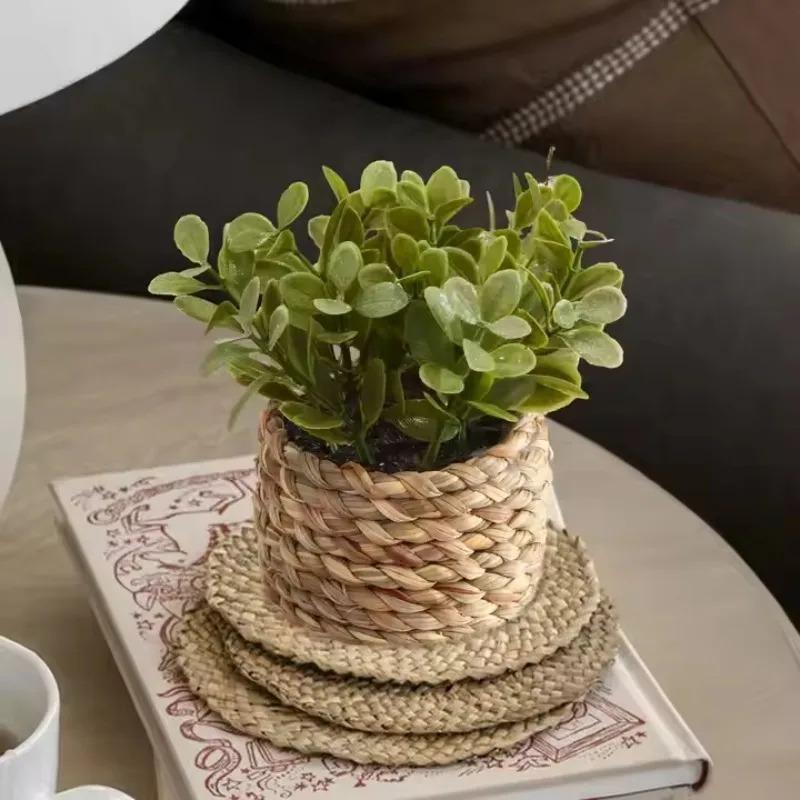 1Pc Potted Plant Small Fake Pl - Home Office Layout 评论和价格